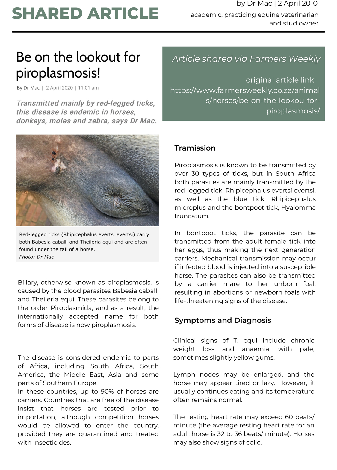 Lookout for Piroplasmosis