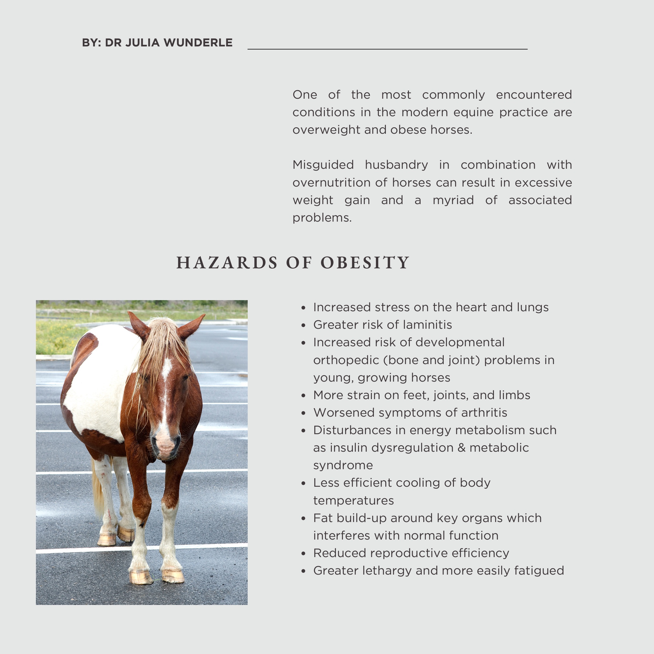 Obesity in horses